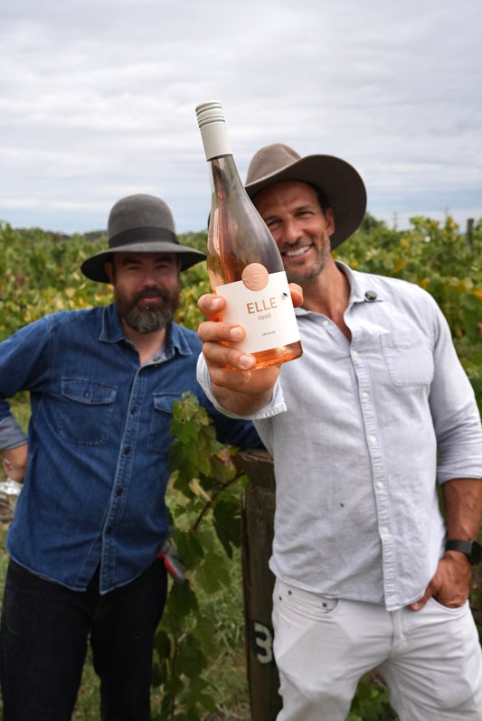 Behind the bottle: our journey from vine to label